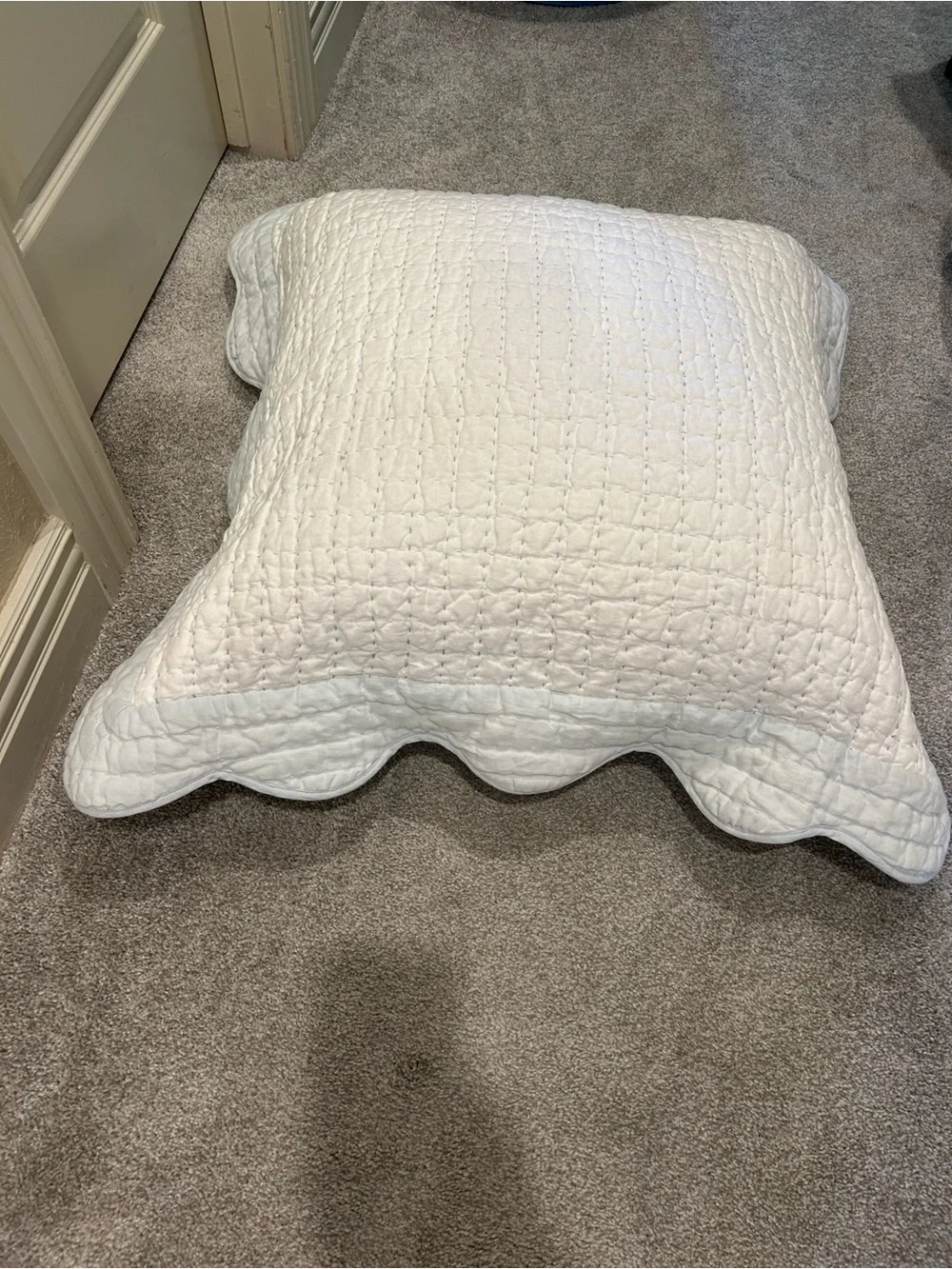 Serena and Lily Baywood Quilted Euro Sham
